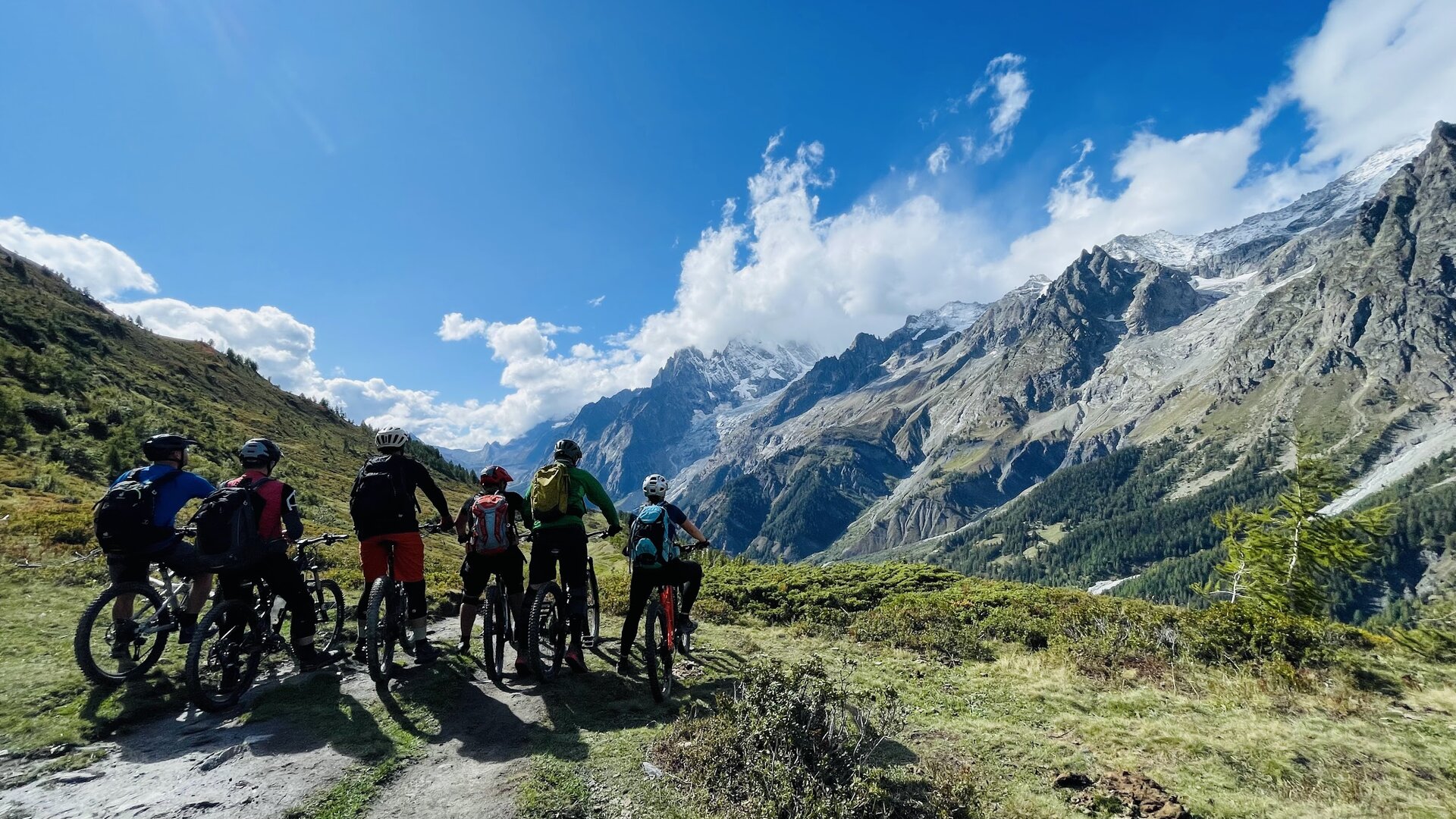 5 Personen fahren auf einem Waldweg im Sommer mit dem Mountainbike | © Mountainbikeabteilung DAV Augsburg