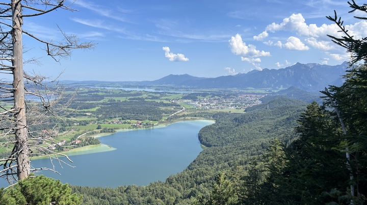 Blick auf Weißensee, Hopfensee (links), Forggensee und Bannwaldsee | © DAV Augsburg Senioren